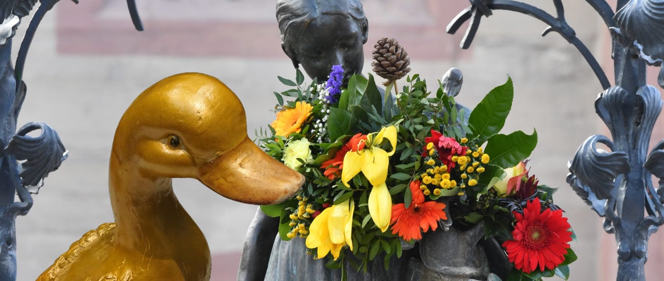Visual Suche nach der Goldenen Gans